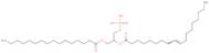 1-Palmitoyl-2-oleoyl-sn-glycero-3-phosphatidic acid