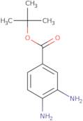 tert-Butyl 3,4-diaminobenzoate