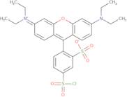 Sulforhodamine B acid chloride