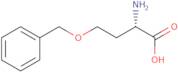 O-Benzyl-L-homoserine