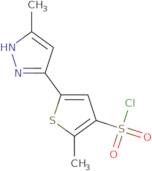 2-Methyl-5-(3-methyl-1H-pyrazol-5-yl)-3-thiophenesulfonyl chloride