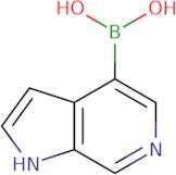 6-Azaindole-4-boronic Acid