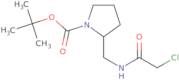 2-[(2-Chloro-acetylamino)-methyl]-pyrrolidine-1-carboxylic acid tert-butyl ester