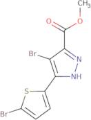 Methyl 4-bromo-3-(5-bromo-2-thienyl)-1H-pyrazole-5-carboxylate