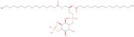 1,2-Dipalmitoyl phosphatidylinositol 4-phosphate ammonium salt