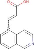 (2E)-3-(Isoquinolin-5-yl)prop-2-enoic acid