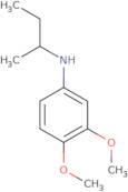 N-(Butan-2-yl)-3,4-dimethoxyaniline