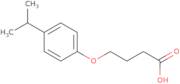 4-[4-(Propan-2-yl)phenoxy]butanoic acid