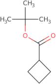 tert-Butyl cyclobutanecarboxylate