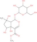 6Beta-Hydroxyipolamiide