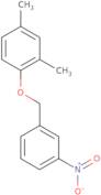 2,4-Dimethyl-1-[(3-nitrophenyl)methoxy]benzene