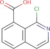 1-Chloroisoquinoline-8-carboxylic acid