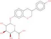 R,S-Equol 7-b-D-glucuronide sodium salt