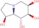 6-Epi-castanospermine