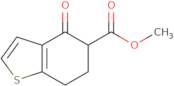 Methyl 4-Oxo-4,5,6,7-Tetrahydrobenzo[B]Thiophene-5-Carboxylate