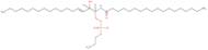 Ceramide phosphoethanolamine(brain, porcine)