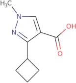 3-Cyclobutyl-1-methyl-1H-pyrazole-4-carboxylic acid