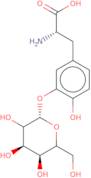 3'-O-(b-D-Glucopyranosyl)-L-DOPA