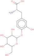 4'-O-(b-D-Glucopyranosyl)-L-DOPA