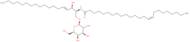 C24:1 b-D-Galactosyl ceramide