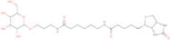 b-D-Galactose-sp-biotin