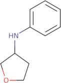 N-Phenyloxolan-3-amine