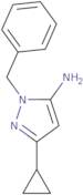 1-Benzyl-3-cyclopropyl-1H-pyrazol-5-amine