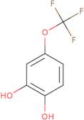 4-(Trifluoromethoxy)benzene-1,2-diol