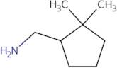 (2,2-Dimethylcyclopentyl)methanamine