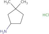 3,3-Dimethyl-cyclopentylamine hydrochloride