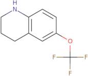 6-(Trifluoromethoxy)-1,2,3,4-tetrahydroquinoline