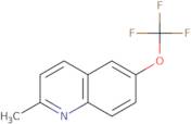 2-Methyl-6-(trifluoromethoxy)quinoline