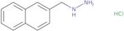[(Naphthalen-2-yl)methyl]hydrazine hydrochloride