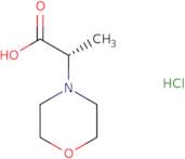 (2S)-2-(Morpholin-4-yl)propanoic acid hydrochloride