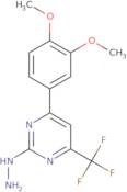 4-(3,4-Dimethoxyphenyl)-2-hydrazino-6-(trifluoromethyl)pyrimidine