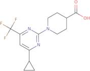 1-[4-Cyclopropyl-6-(trifluoromethyl)pyrimidin-2-yl]piperidine-4-carboxylic acid