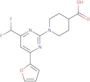 1-[4-(Difluoromethyl)-6-(furan-2-yl)pyrimidin-2-yl]piperidine-4-carboxylic acid