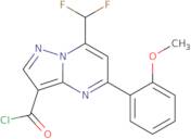7-Difluoromethyl-5-(2-methoxy-phenyl)-pyrazolo[1,5-a]pyrimidine-3-carbonyl chloride