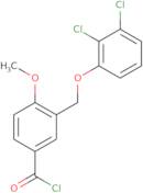 3-[(2,3-Dichlorophenoxy)methyl]-4-methoxybenzoylchloride