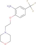 2-(2-Morpholinoethoxy)-5-(trifluoromethyl)benzenamine