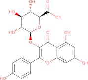 Kaempferol 3-O-b-D-glucuronide