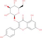 Kaempferol 3-b-glucopyranoside