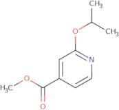 Methyl 2-(propan-2-yloxy)pyridine-4-carboxylate