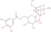 Debenzoylgalloylpaeoniflorin