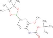 4-(tert-Butoxycarbonylamino)-3-methoxyphenylboronic acid pinacol ester