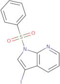 1-Benzenesulfonyl-3-iodo-1h-pyrrolo[2,3-b]pyridine