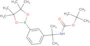 tert-Butyl N-[2-[3-(4,4,5,5-tetramethyl-1,3,2-dioxaborolan-2-yl)phenyl]propan-2-yl]carbamate