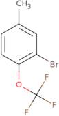 5-Methyl-2-(trifluoromethoxy)bromobenzene