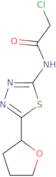 2-Chloro-N-[5-(oxolan-2-yl)-1,3,4-thiadiazol-2-yl]acetamide
