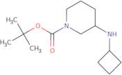 tert-Butyl 3-(cyclobutylamino)piperidine-1-carboxylate